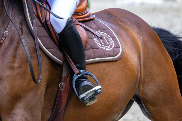 Horse Jumping Monaco