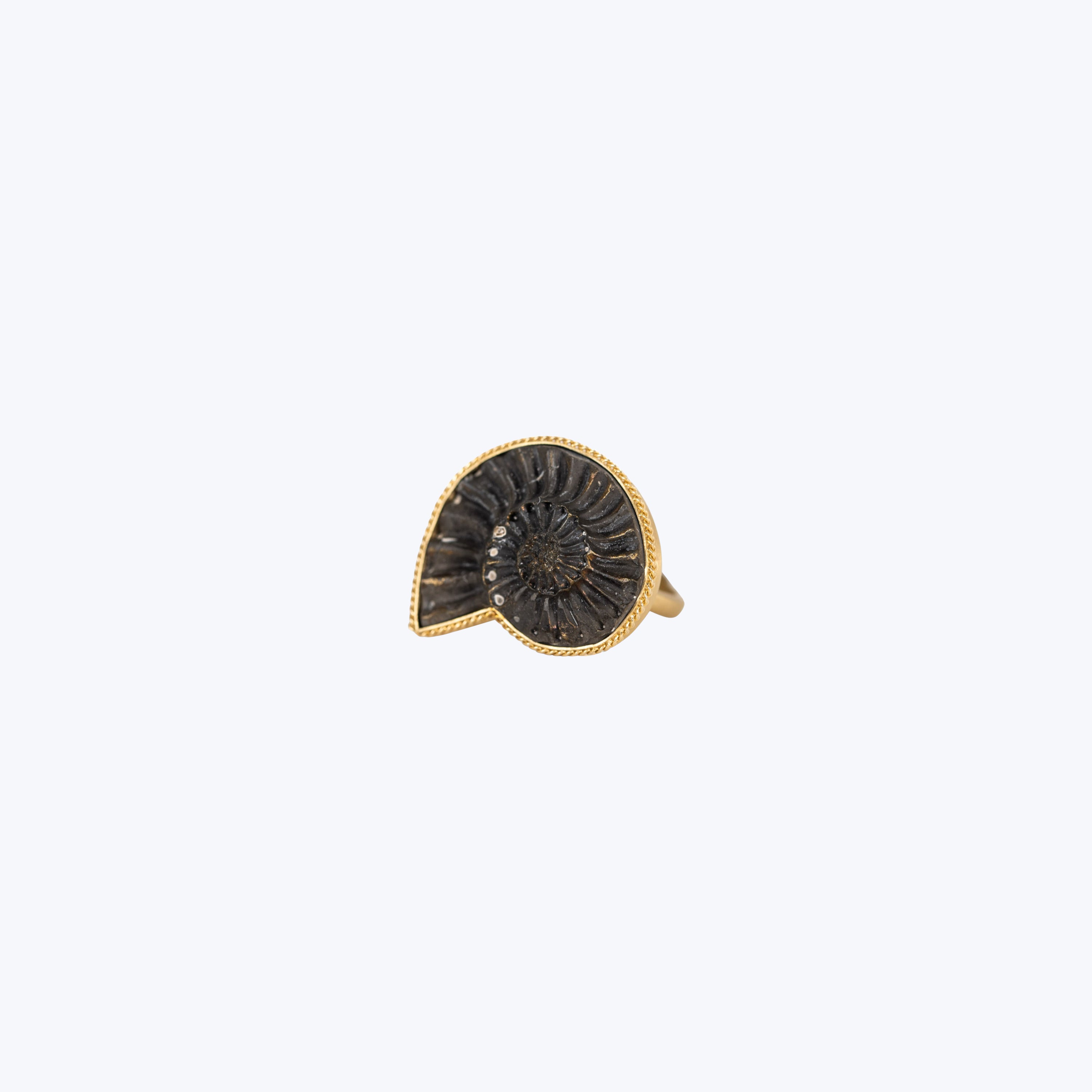 Small Pyritized Ammonite Negative 18k One-of-a-Kind Ring