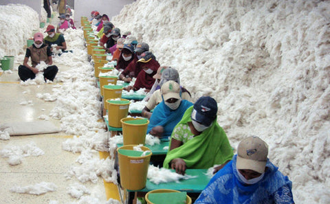 Cotton Making Process