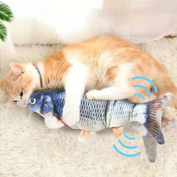 Poisson Interactif Pour Chat Jouet Poisson Chat Univers Felin