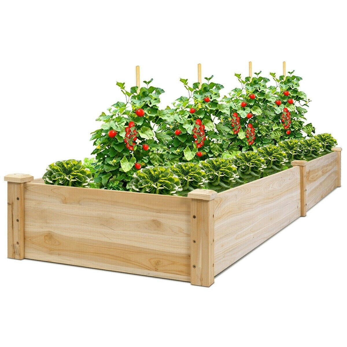 8ft x 2ft Wooden Raised Garden Bed Vegetable Planter Box Kit