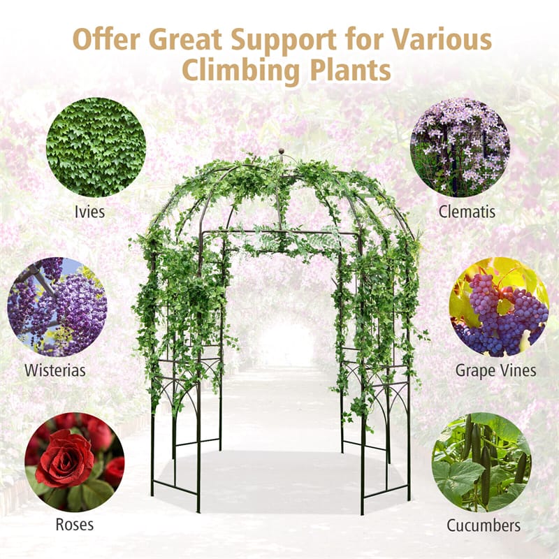 Birdcage Shape Garden Arbor 7’ x 8.4’ Heavy Duty Metal Garden Pergola Trellis Outdoor Arch Pavilion for Climbing Plants Wedding Party Decor