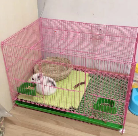 a rabbit wire cage