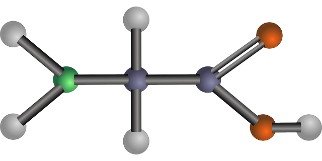 seawater amino acids