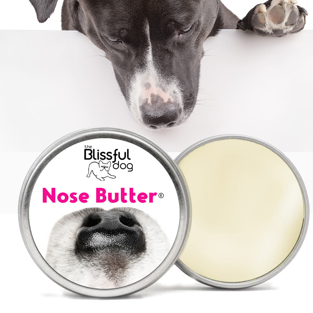 How Do You Treat A Dogs Dry Nose