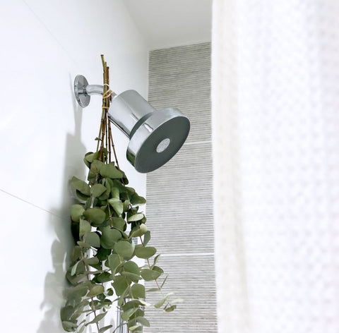 eucalyptus bundle hanging from a filtered showerhead