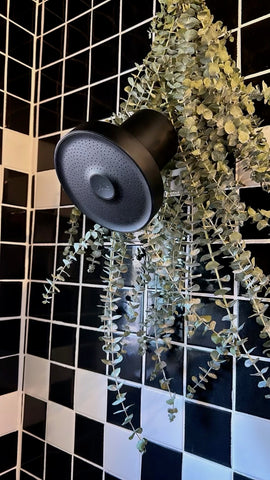 black showerhead with eucalyptus hanging over top, best shower water filter
