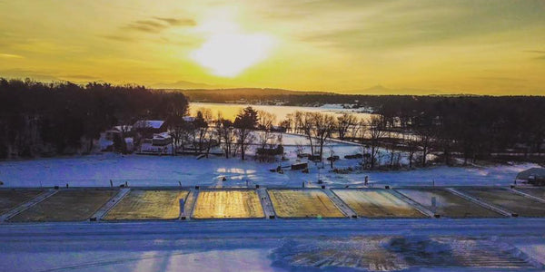 Landscape image of the rinks at the Labatt Lineup event.