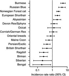 ocurrencia de diabetes por raza de gatos