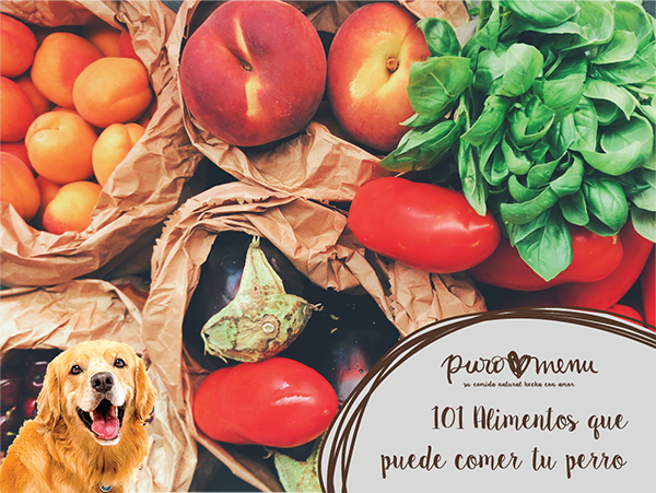 101 Alimentos que tu perro puede comer (y los que no!) – Puromenu