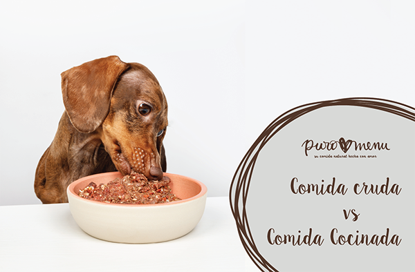 Comida Cocinada para perros o gatos vs comida cruda 