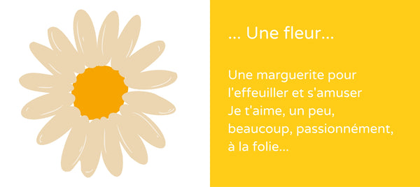 fleur marguerite mako moulages