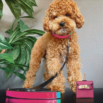 Scotch & Co Mini Barkin Poo-Bag Dispenser Pet Leash Accessory Pink