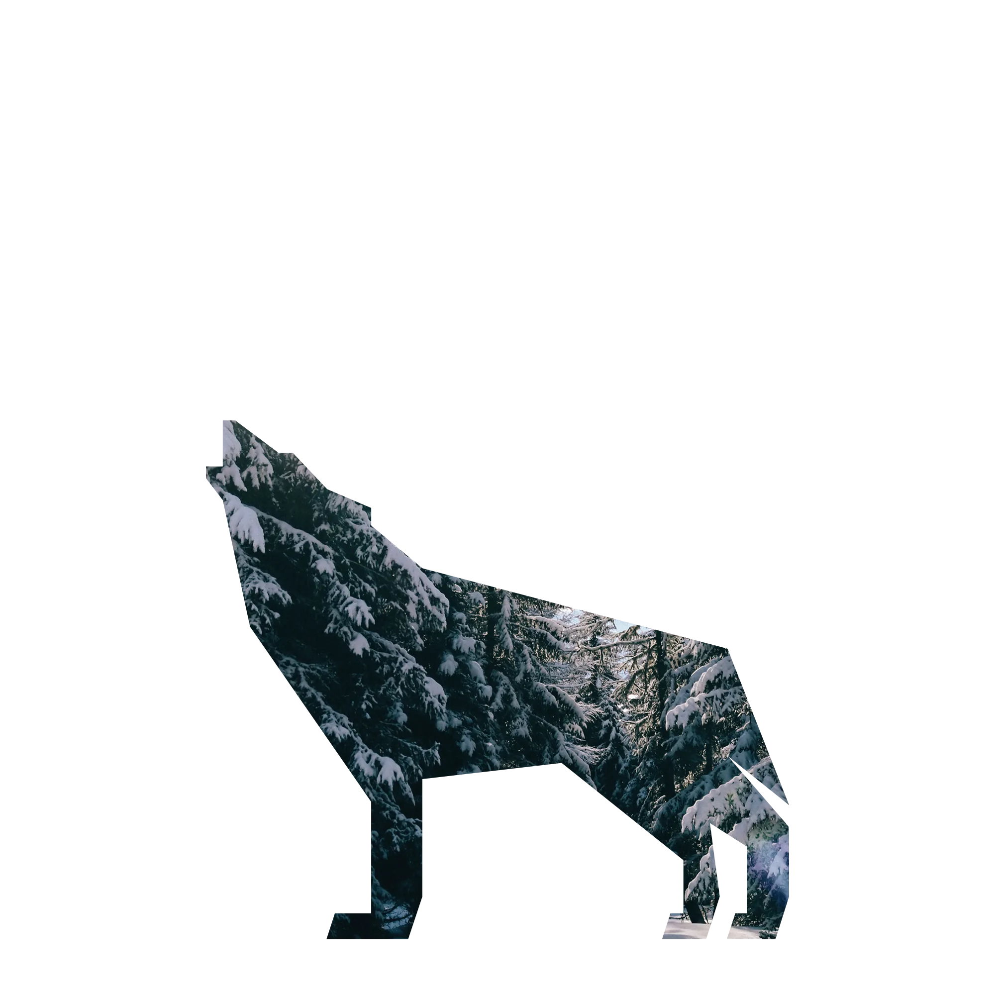 Wolf monitoring