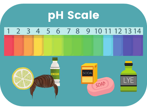 pH scale comparing soap and shampoo