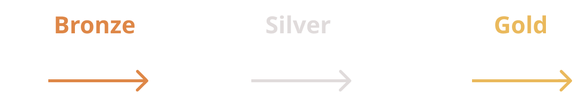 reward tiers. bronze $0-$499. silver $500-$999. gold $1000+