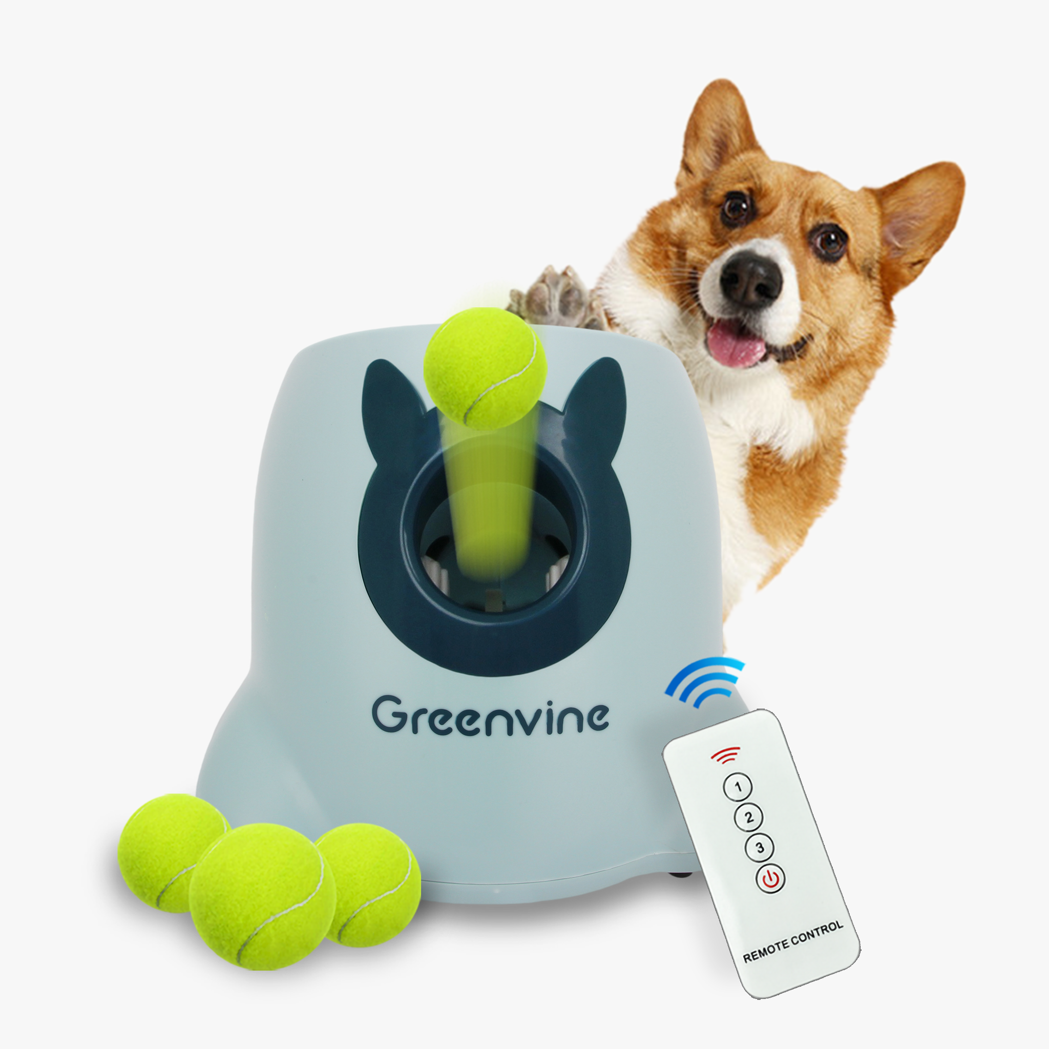 corgi fetch machine