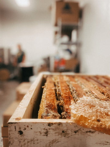 open beehive box beeswax and honey honeycomb image
