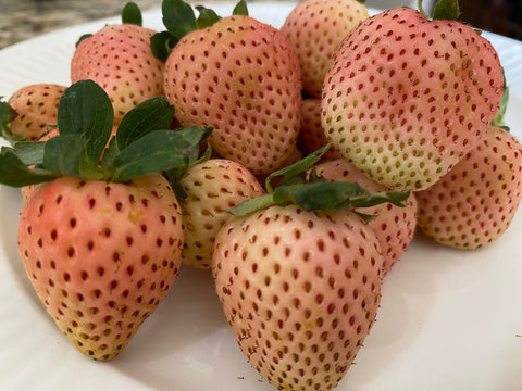 pink pineberries on a plate