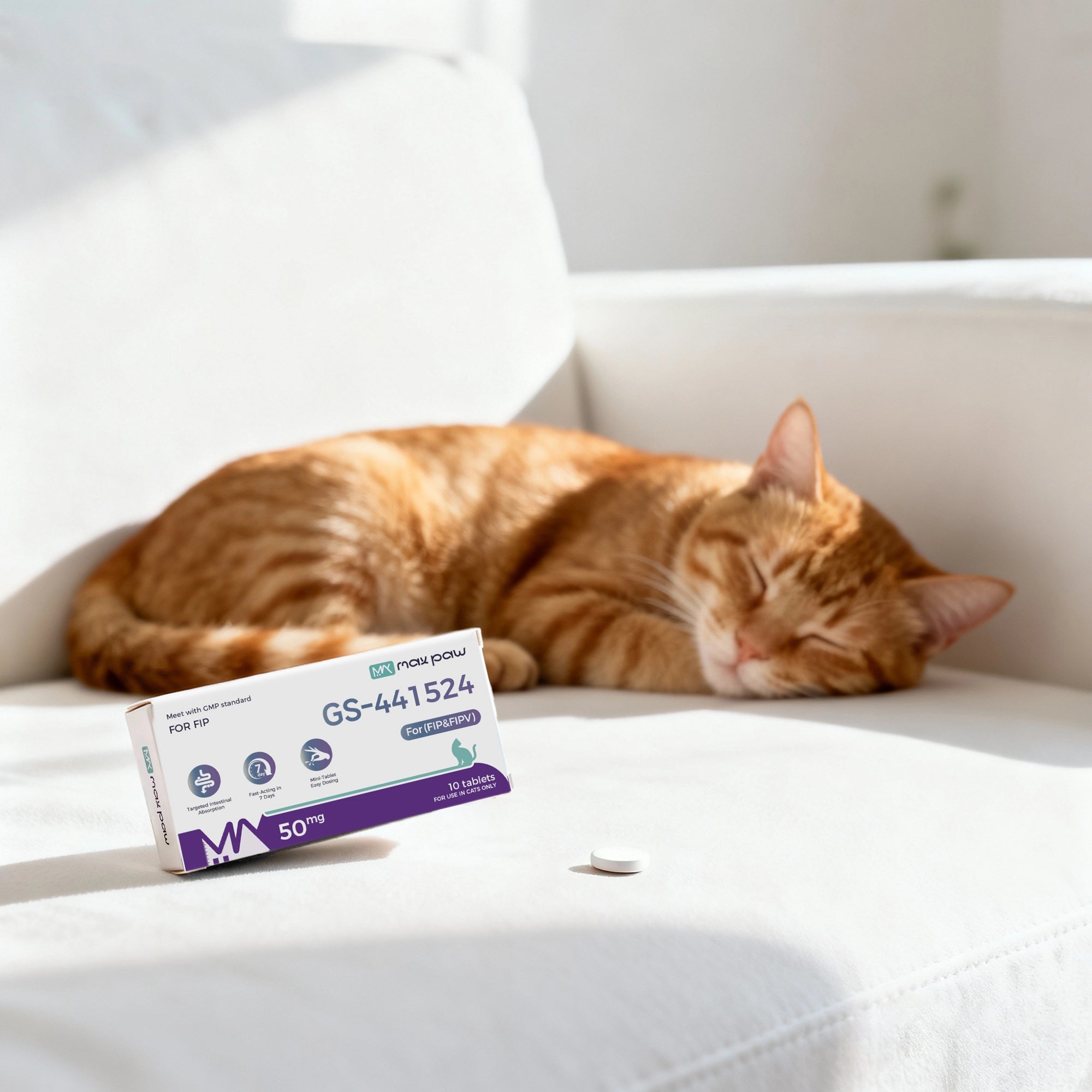 20251114-173801.webp__PID:1b2779d8-9d71-452e-b732-4302e0304e6d