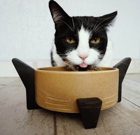 Plato de gato para gato de cerámica