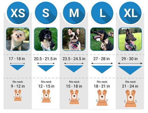 Life for pawz size guide