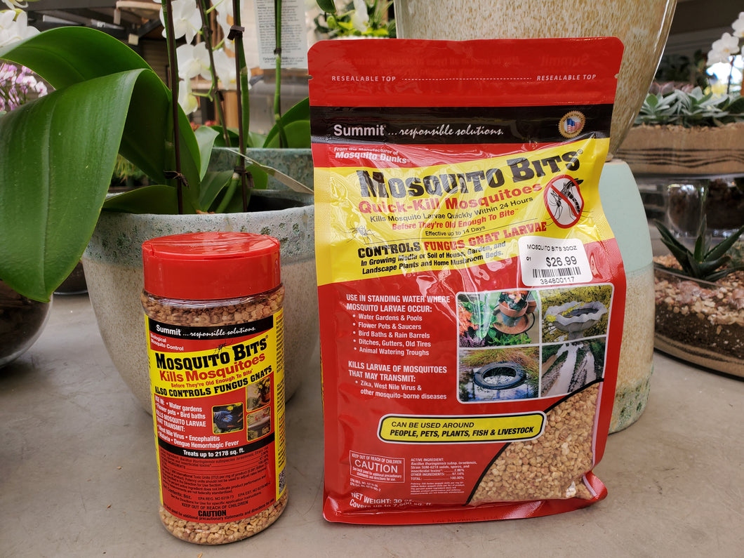 mosquito bits fungus gnats