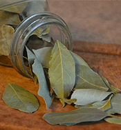 shushen herbals bay leaf