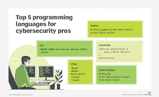 Best Programming Language For Network Security