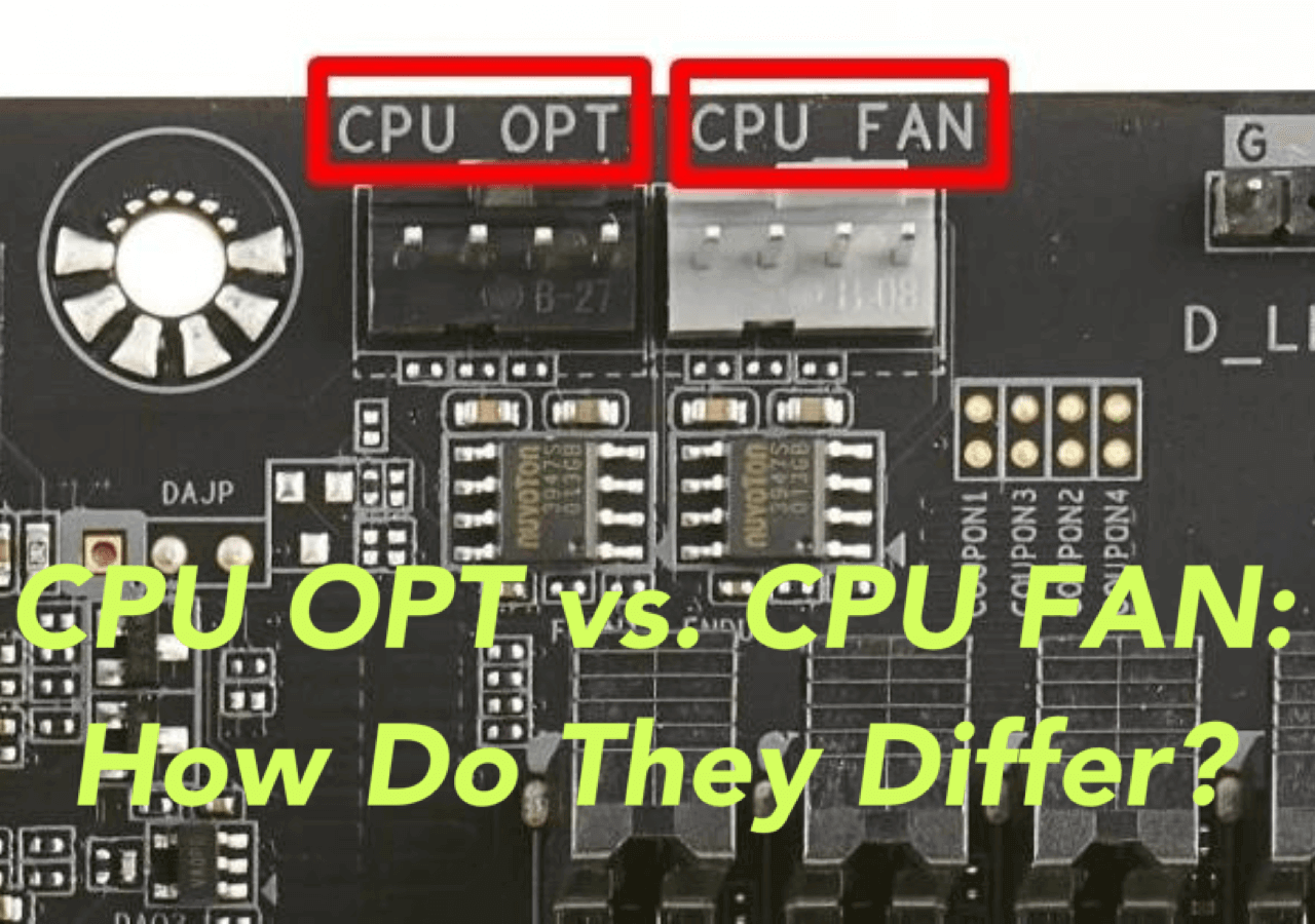 Can I Use CPU Opt For A Case Fan