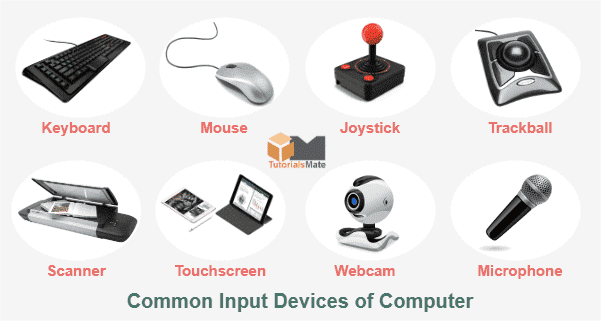 Computer Hardware Such As Keyboards Mice Touch Displays And Microphones