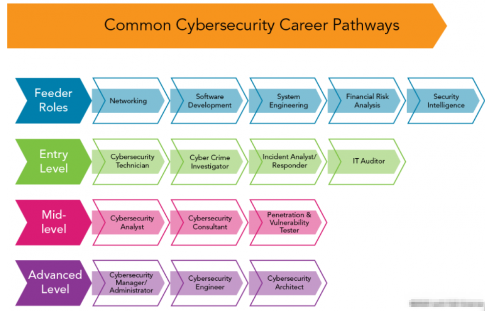 Cybersecurity Career Paths And Progression
