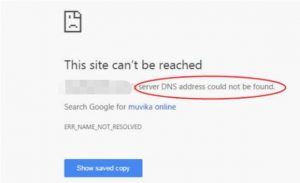 DNS Address Could Not Be Found Windows 11