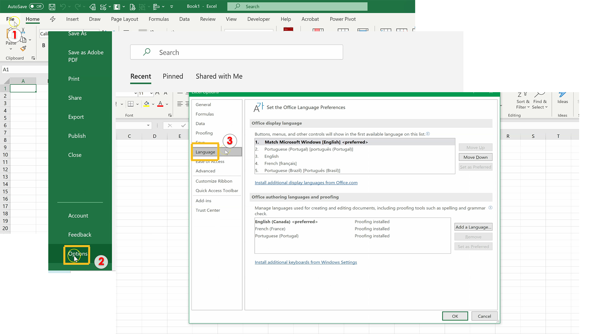 How To Change Language In Microsoft Excel