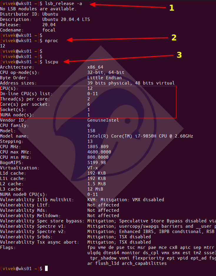 How To Check CPU Cores In Redhat Linux