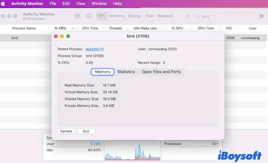Mac Bird Process High CPU