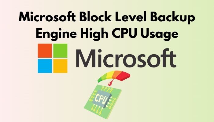 Microsoft Block Level Backup Engine High CPU
