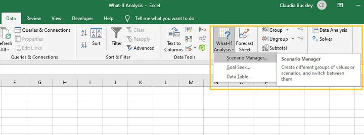 Microsoft Excel What If Analysis