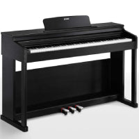 DDP-100 88-Key Weighted Action Digital Piano