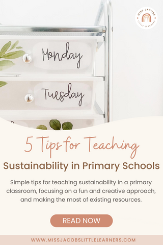 5 Tips for Teaching Sustainability in Primary Schools - Miss Jacobs Little Learners