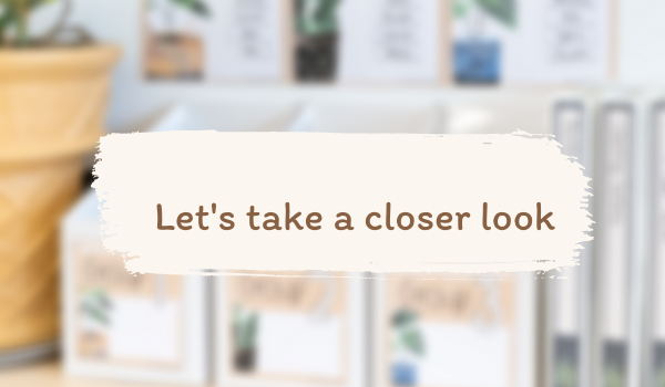 A graphic reads ‘Let’s take a closer look. The brown text sits on a cream coloured paint swipe and in the background, we can see a blurry photo of the Plants Range decor on a shelf.
