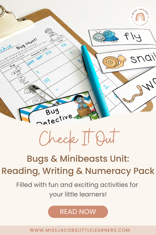 Bugs And Minibeasts Unit: Reading, Writing & Numeracy Pack - Miss Jacobs Little Learners