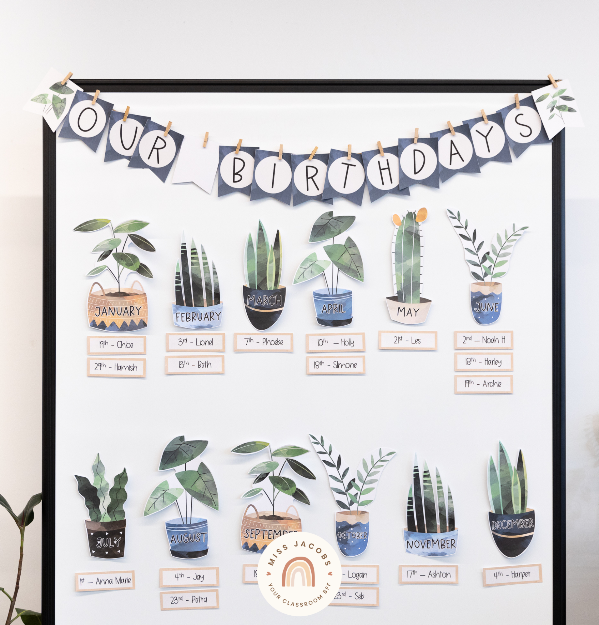 Two images show the ‘Our Birthdays’ display. The months of the year are depicted on illustrations of plants, and underneath students’ names and birthdays are displayed on rectangular labels. The color palette includes earthy tones and beautiful blues.