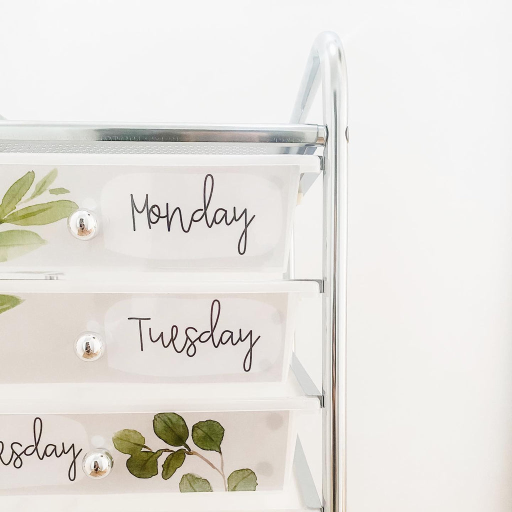 A closeup image shows the top corner of a teachers’ trolley. It’s a vertical shelving unit with small trays. The trays are labelled with labels which are from the Botanical range and feature illustrated leaves, with the words Monday, Tuesday and Wednesday.