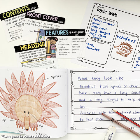 a drawing of an echidna and some Non fiction reading and writing template sheets