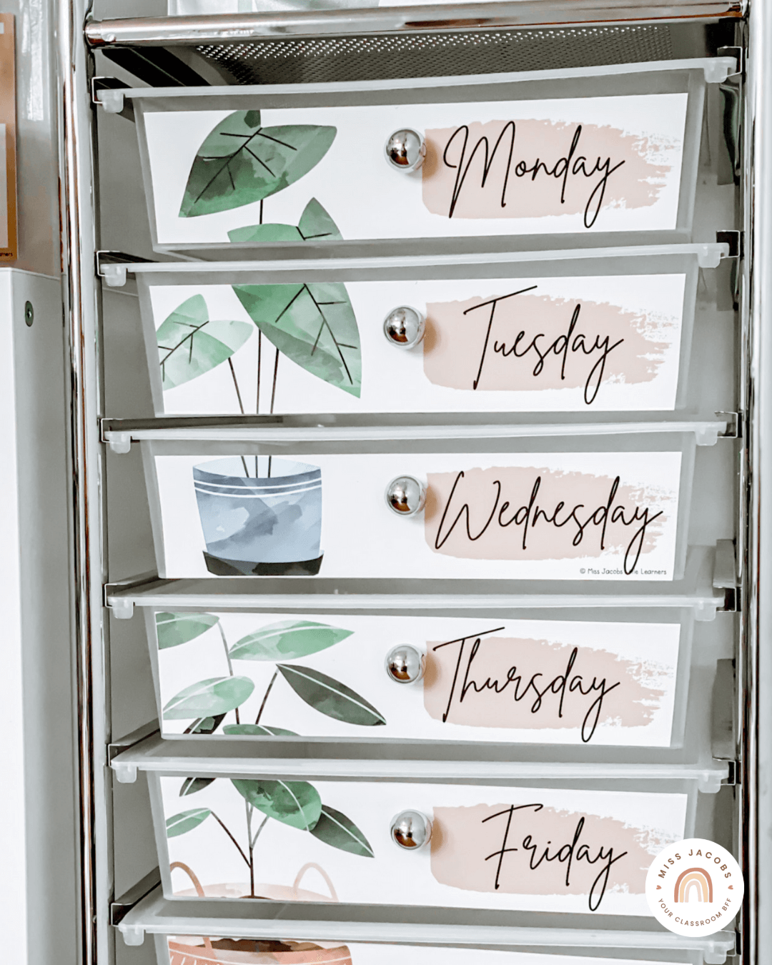 Two images show white book tubs (on the left) and a teachers’ trolley on the right. They’re labelled with items from the Boho Plants range - which is comprised of illustrated plants in blue and green tones, set against a muted blush background.