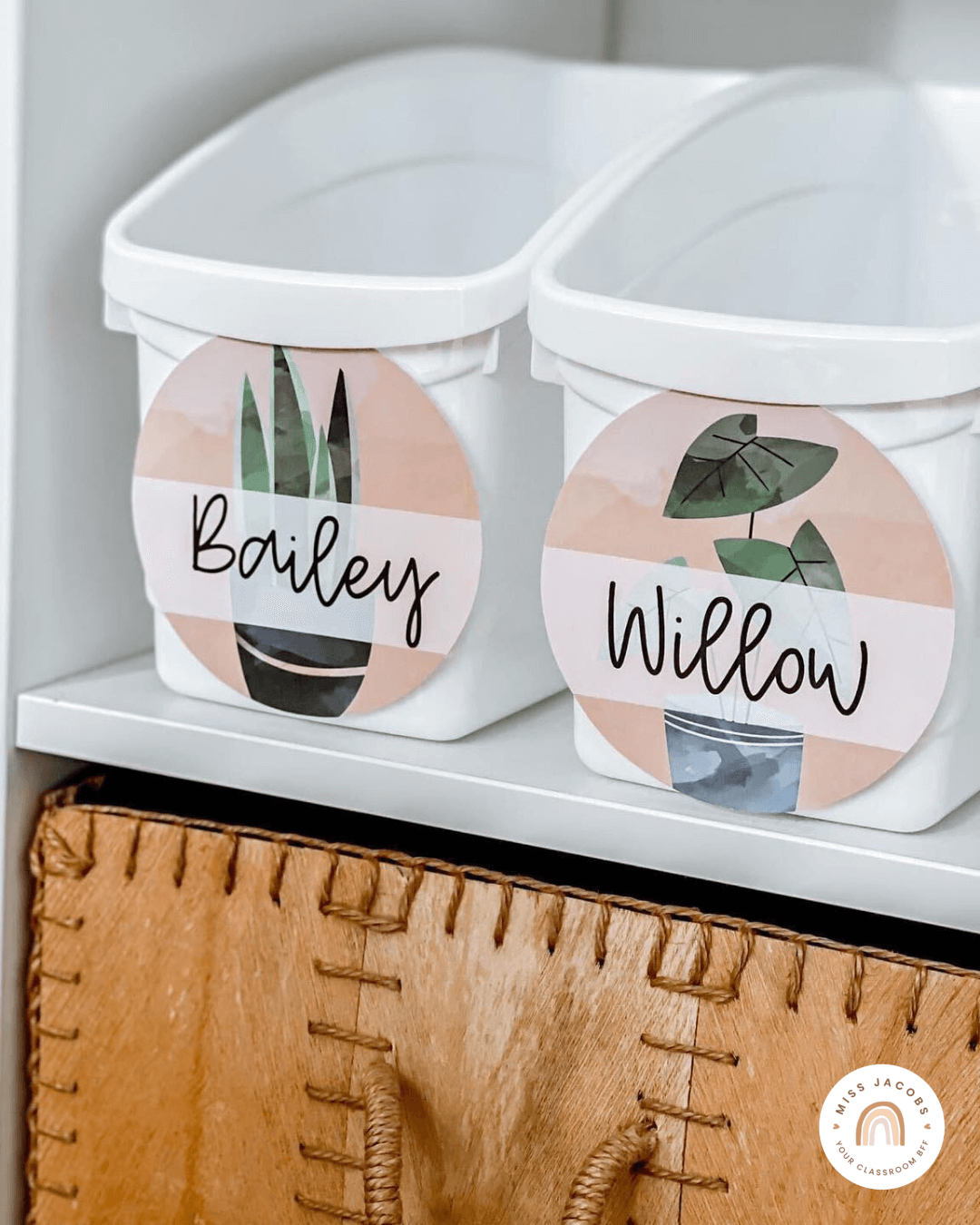 Two images show white book tubs (on the left) and a teachers’ trolley on the right. They’re labelled with items from the Boho Plants range - which is comprised of illustrated plants in blue and green tones, set against a muted blush background.” style=