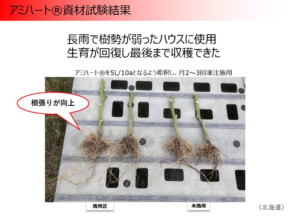 アミハート資材試験結果