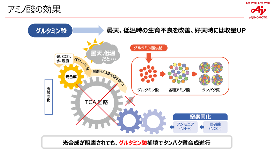 アミノ酸資材の機能