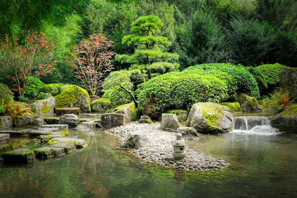 Ce que nous disent les jardins zen